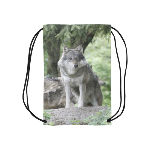 Wolf 14AJ by JamColors Small Drawstring Bag Model 1604 (Twin Sides) 11"(W) * 17.7"(H)