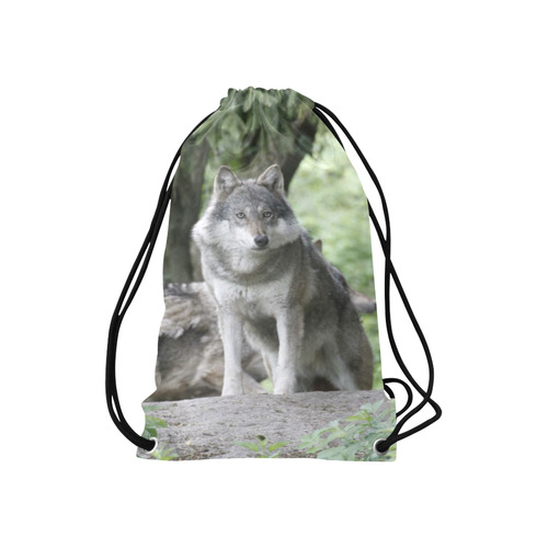 Wolf 14AJ by JamColors Small Drawstring Bag Model 1604 (Twin Sides) 11"(W) * 17.7"(H)