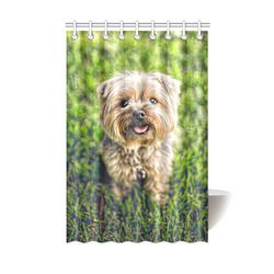 Photography - PRETTY LITTLE DOG Shower Curtain 48"x72"