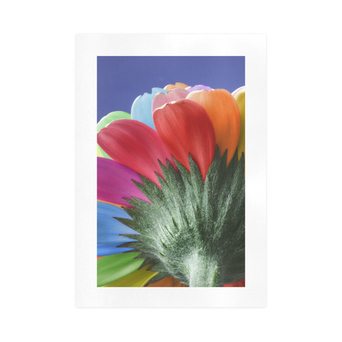 Rainbow Petals Gerbera Flower Art Print 16‘’x23‘’