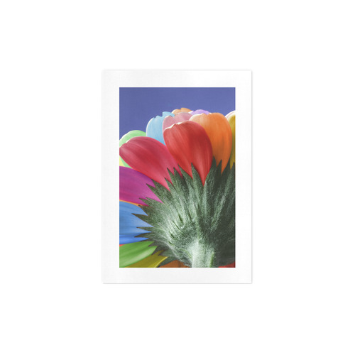 Rainbow Petals Gerbera Flower Art Print 7‘’x10‘’