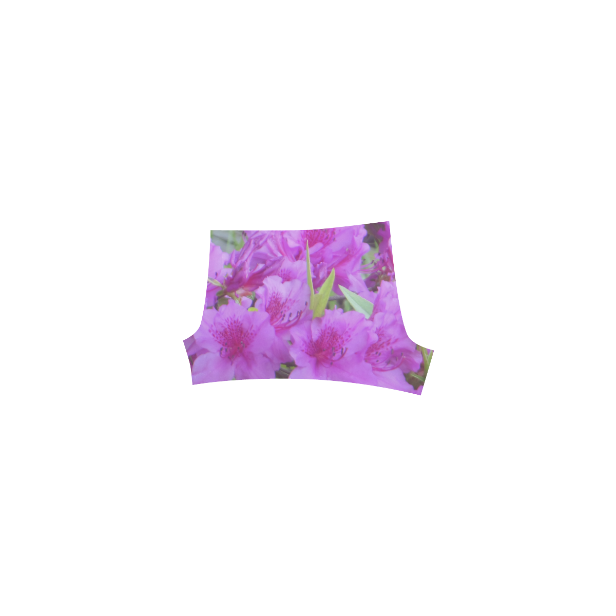 Azalea Flowers Briseis Skinny Shorts (Model L04)
