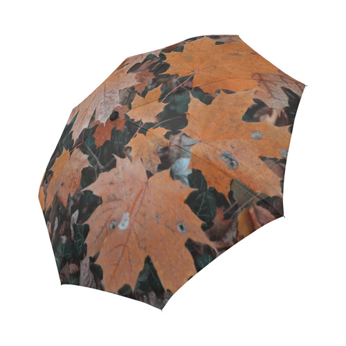 Herbststimmung Auto-Foldable Umbrella (Model U04)