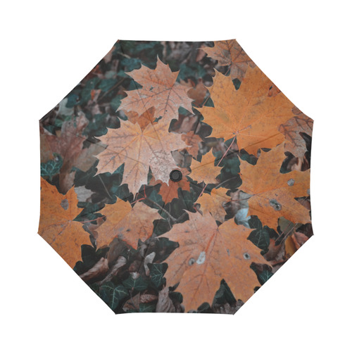 Herbststimmung Auto-Foldable Umbrella (Model U04)