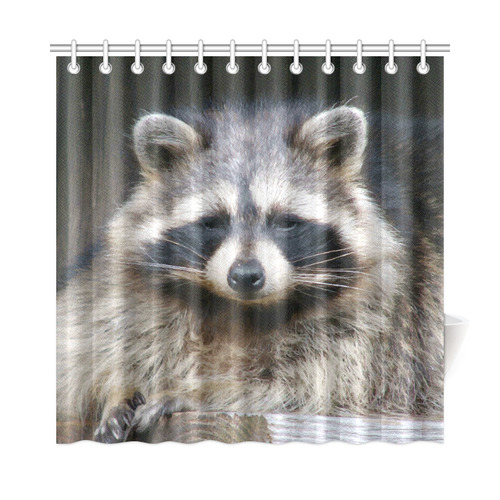 Raccoon Fine Modern Art Animal Shower Curtain 72"x72"