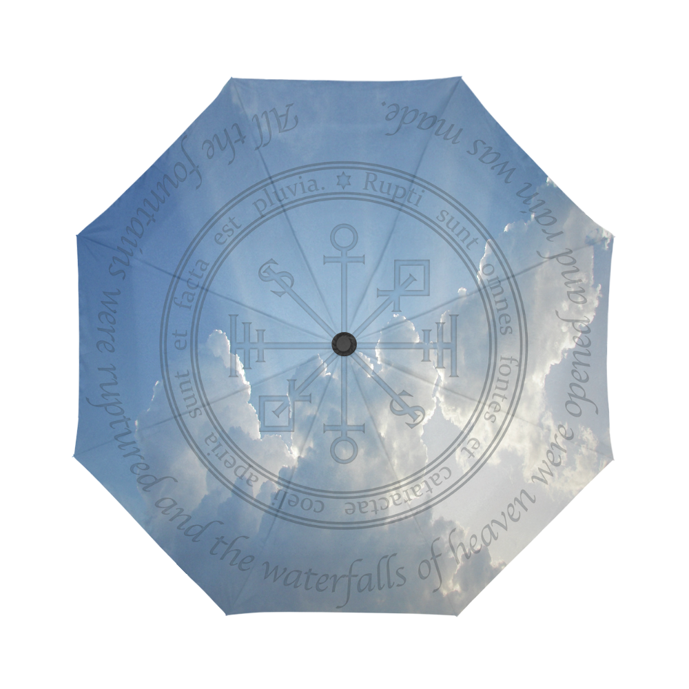 Let It Rain Auto-Foldable Umbrella (Model U04)