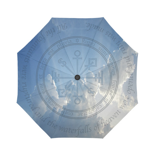 Let It Rain Auto-Foldable Umbrella (Model U04)