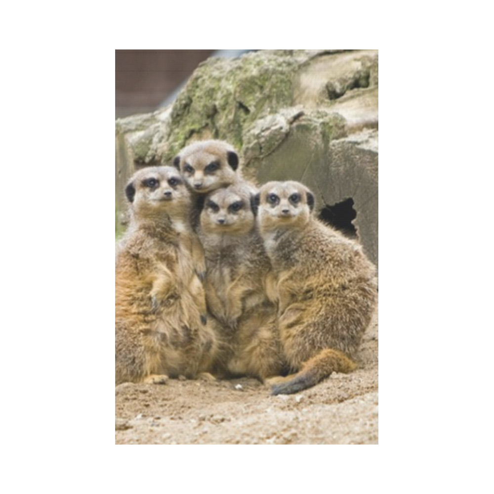 Family Pic,meerkats  by JamColors Garden Flag 12‘’x18‘’（Without Flagpole）