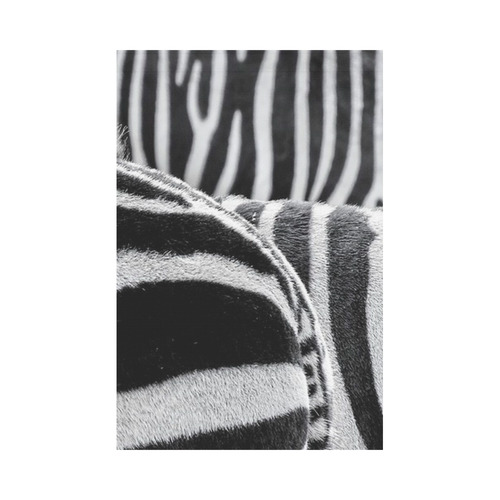 several zebras by JamColors Garden Flag 12‘’x18‘’（Without Flagpole）