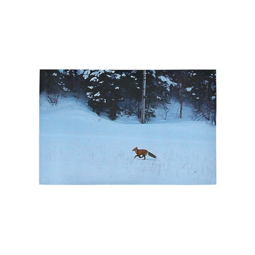 Fox on the Run Area Rug 5'x3'3''