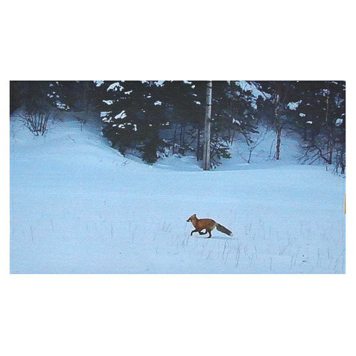 Fox on the Run Cotton Linen Tablecloth 60"x 104"