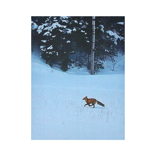 Fox on the Run Cotton Linen Wall Tapestry 60"x 80"