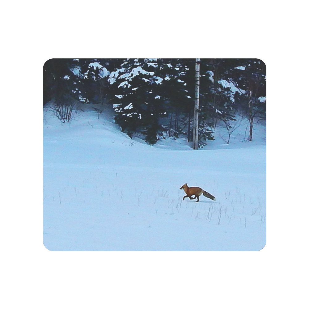Fox on the Run Men's Clutch Purse （Model 1638）