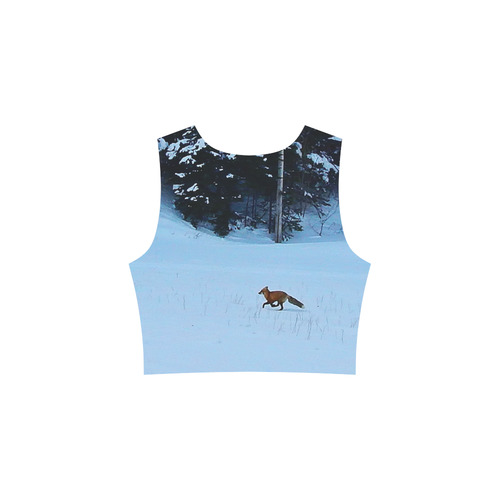 Fox on the Run Sleeveless Ice Skater Dress (D19)