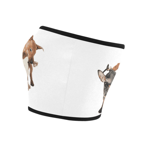 Two Playing Dogs Bandeau Top