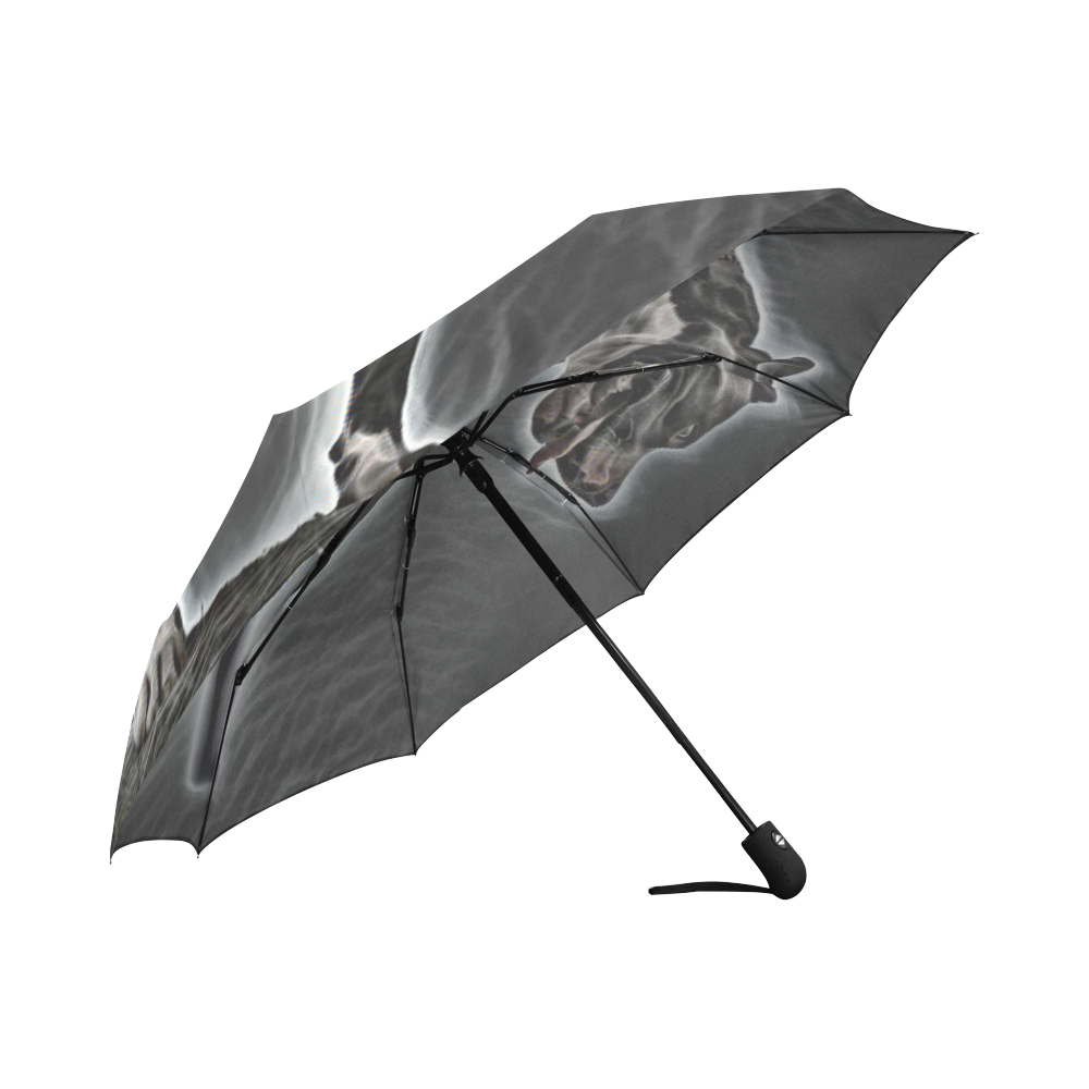 Steff Black and White Auto-Foldable Umbrella (Model U04)