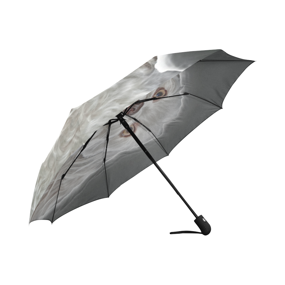 Cheeky Lovely Buddy Auto-Foldable Umbrella (Model U04)