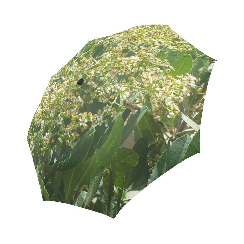 Flowers And Bees Auto-Foldable Umbrella (Model U04)