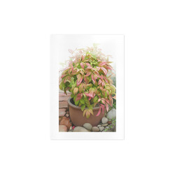 Pot full of colors, floral watercolors, plant Art Print 7‘’x10‘’