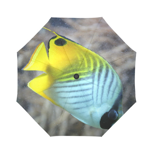 Threadfin Butterflyfish Auto-Foldable Umbrella (Model U04)