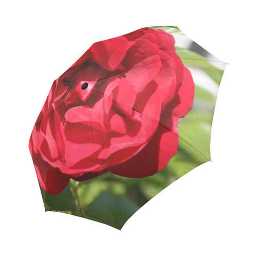 Red Rose Auto-Foldable Umbrella (Model U04)