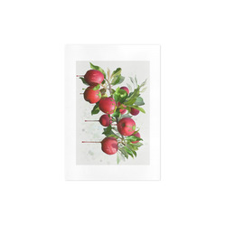 Melting Apples, fruit watercolors Art Print 7‘’x10‘’