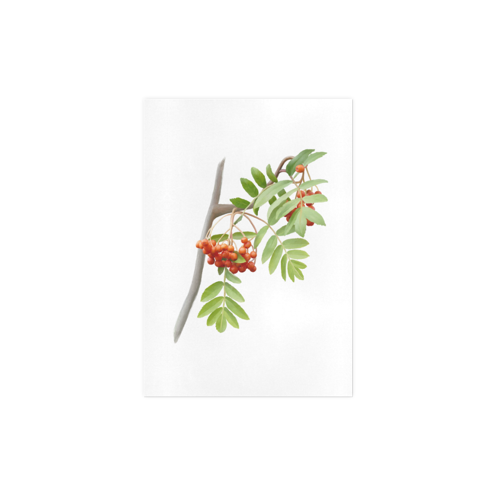Rowan tree plant watercolor Art Print 7‘’x10‘’