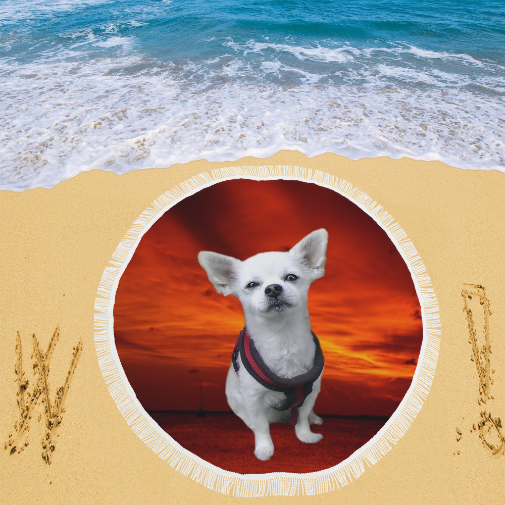 Dog Chihuahua Circular Beach Shawl 59"x 59"
