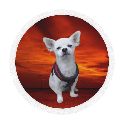 Dog Chihuahua Circular Beach Shawl 59"x 59"