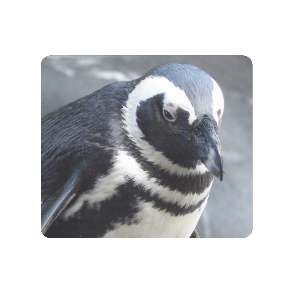 Penguin Photo Men's Clutch Purse （Model 1638）