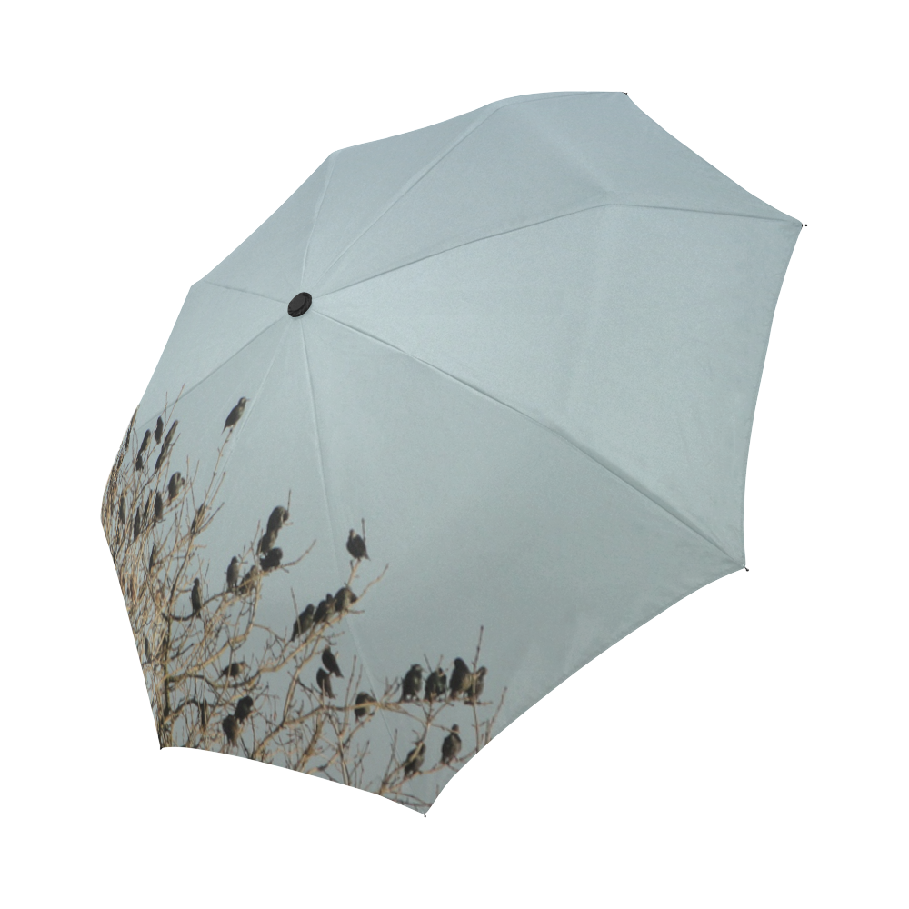Birds Auto-Foldable Umbrella (Model U04)