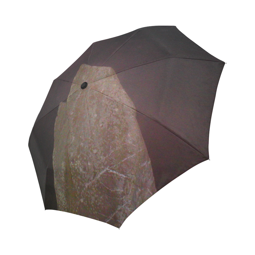 Standing Stone Auto-Foldable Umbrella (Model U04)