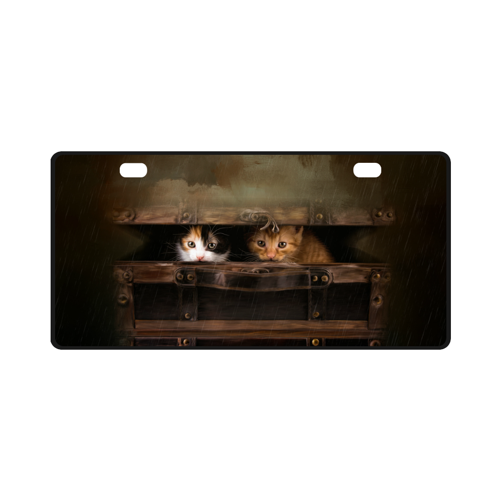 Little cute kitten in an old wooden case License Plate