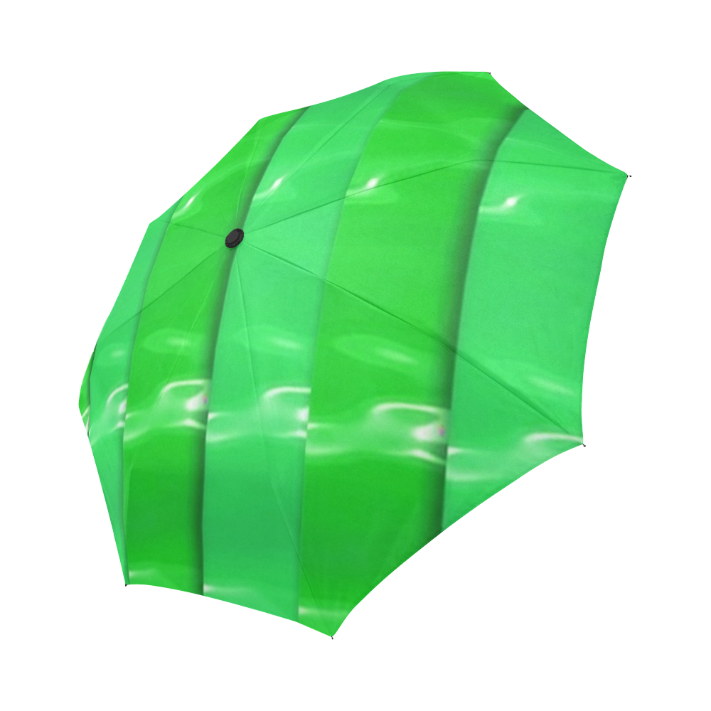 SPRING Auto-Foldable Umbrella (Model U04)