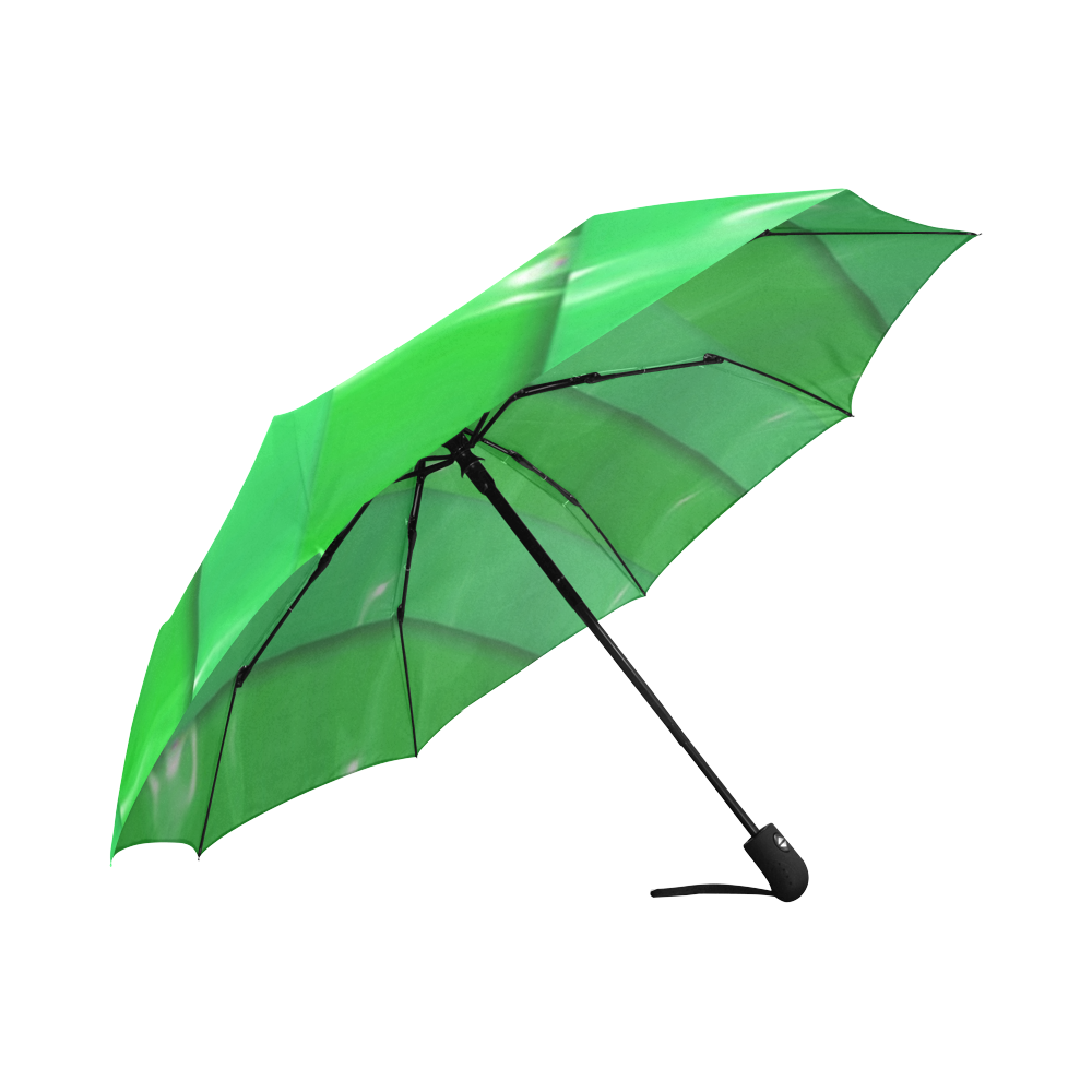 SPRING Auto-Foldable Umbrella (Model U04)