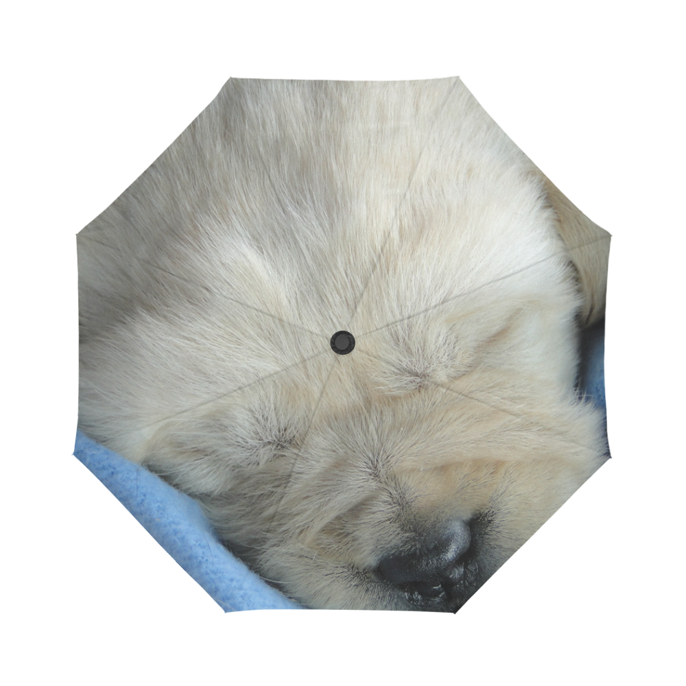 Golden Labrador Puppy Auto-Foldable Umbrella (Model U04)