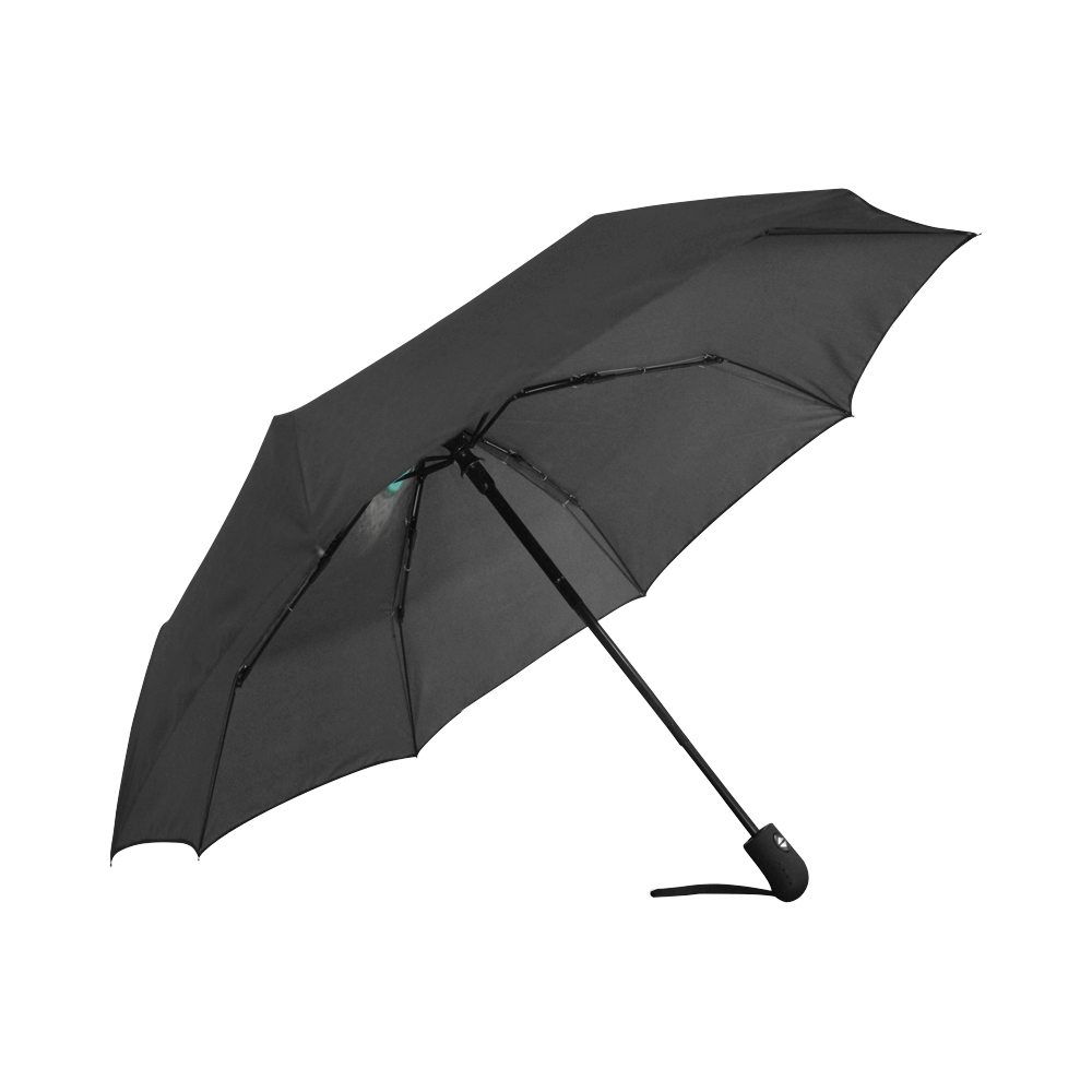BLACK Auto-Foldable Umbrella (Model U04)