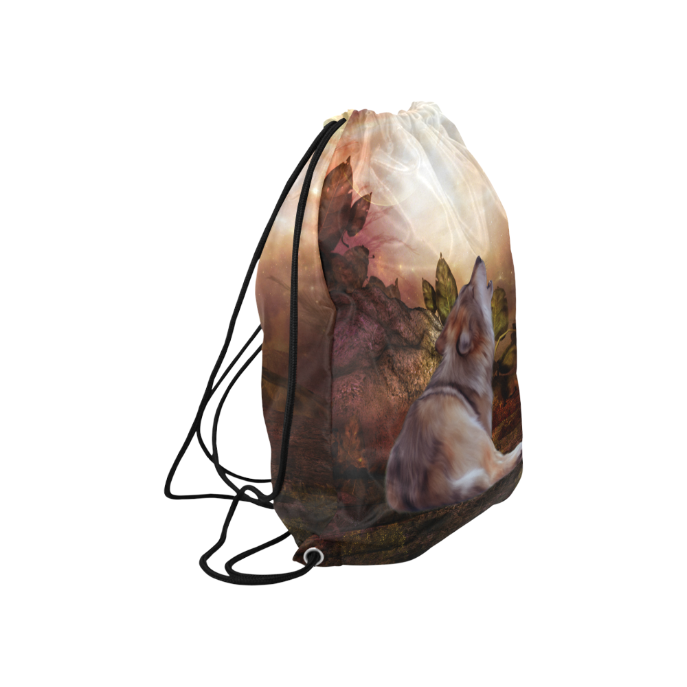Beautiful wolf in the night Large Drawstring Bag Model 1604 (Twin Sides)  16.5"(W) * 19.3"(H)