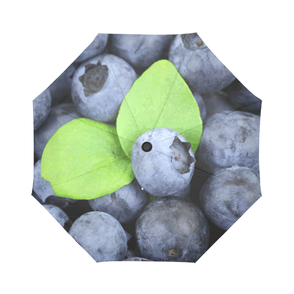 Blueberries Leaf Fruit Food Auto-Foldable Umbrella (Model U04)