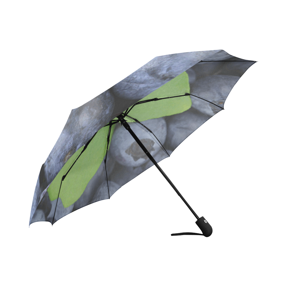 Blueberries Leaf Fruit Food Auto-Foldable Umbrella (Model U04)