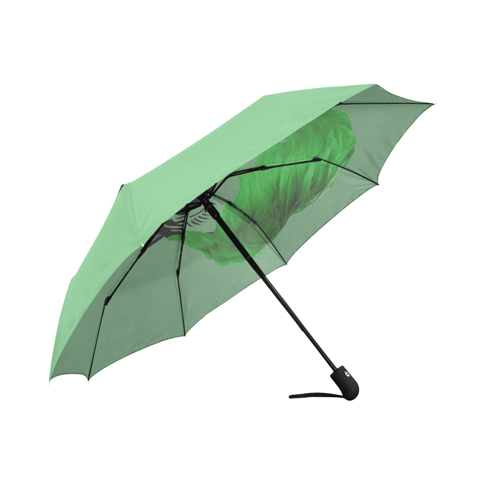 funny Skull, green Auto-Foldable Umbrella (Model U04)