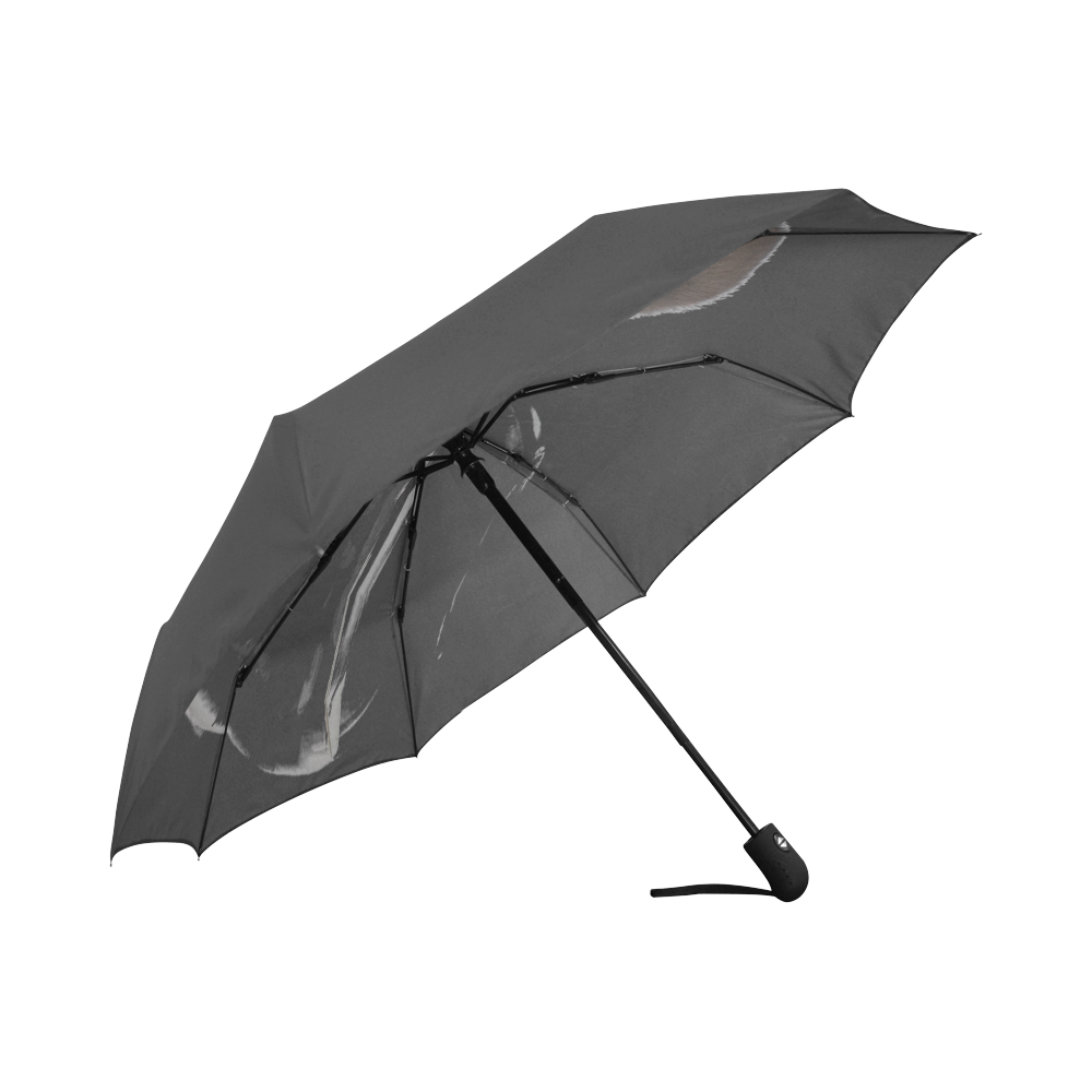 CAT AND FISH Auto-Foldable Umbrella (Model U04)