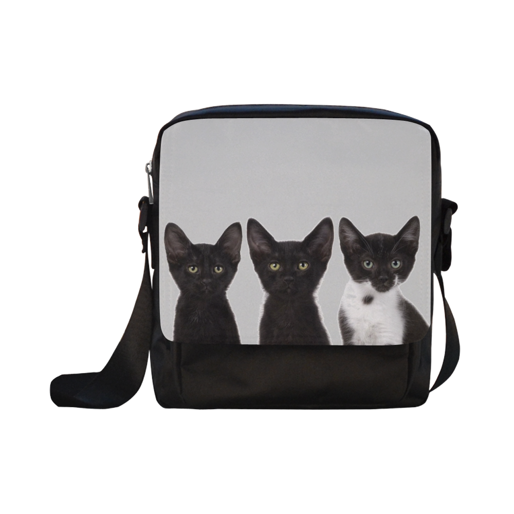 CATBOYS Crossbody Nylon Bags (Model 1633)