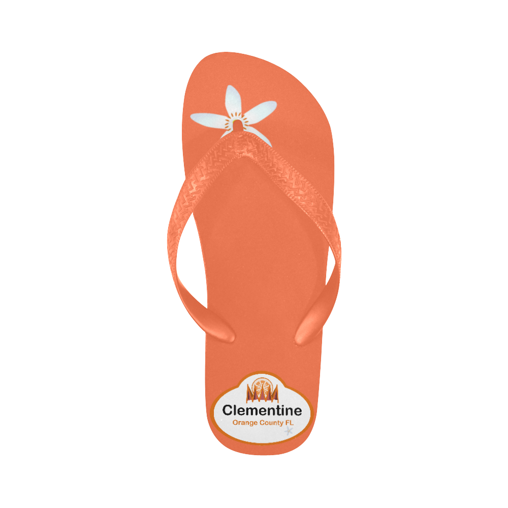 orange bird citrus Flip Flops for Men/Women (Model 040)