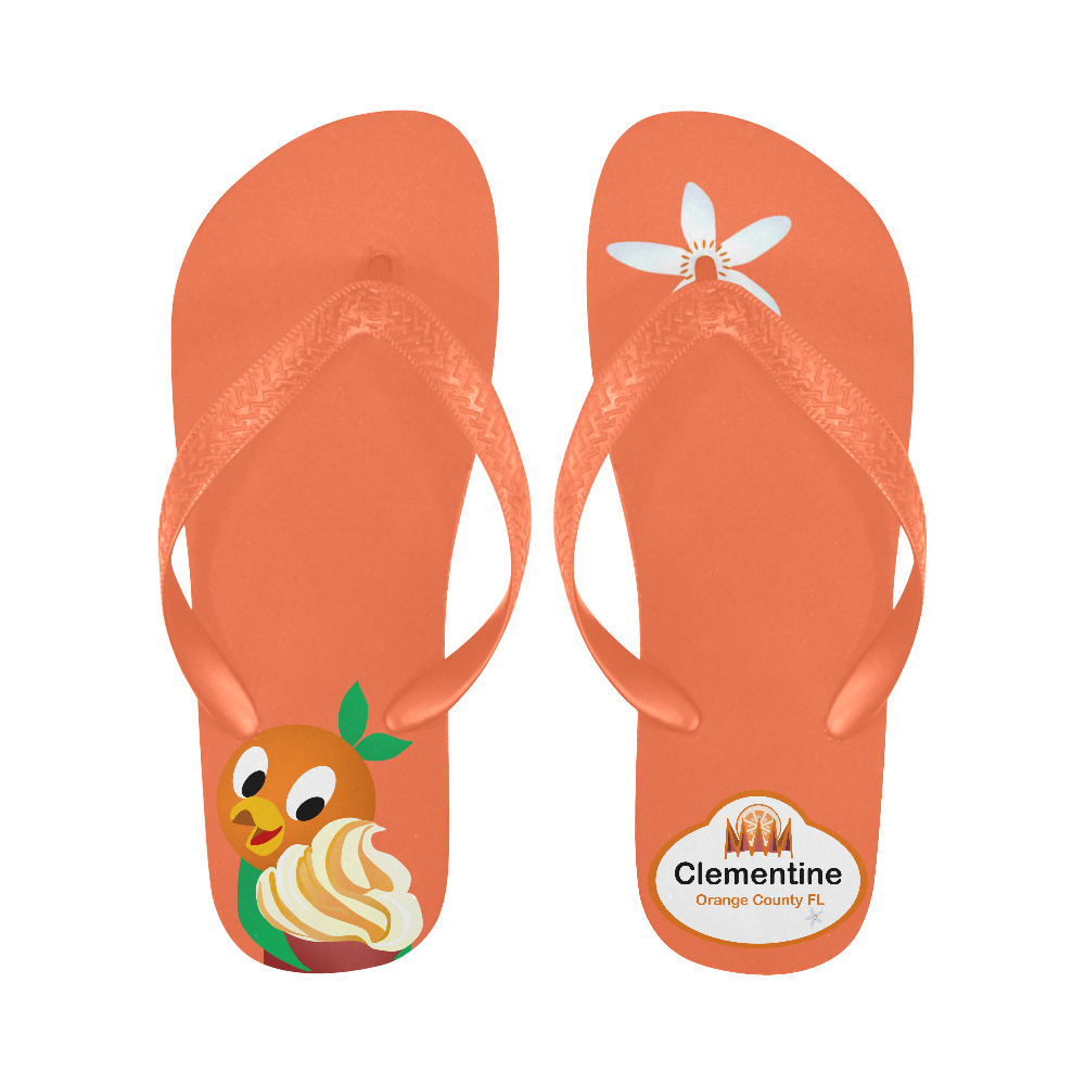 orange bird citrus Flip Flops for Men/Women (Model 040)