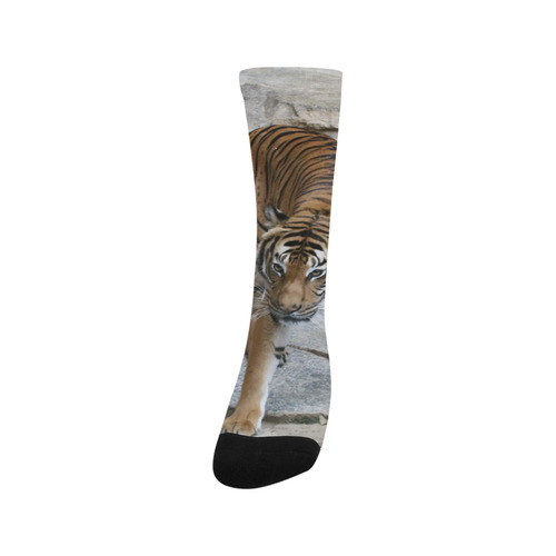 Tiger 1216 AJ by JamColors Trouser Socks
