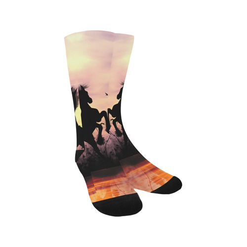 Wonderful fairy with foal in the sunset Trouser Socks