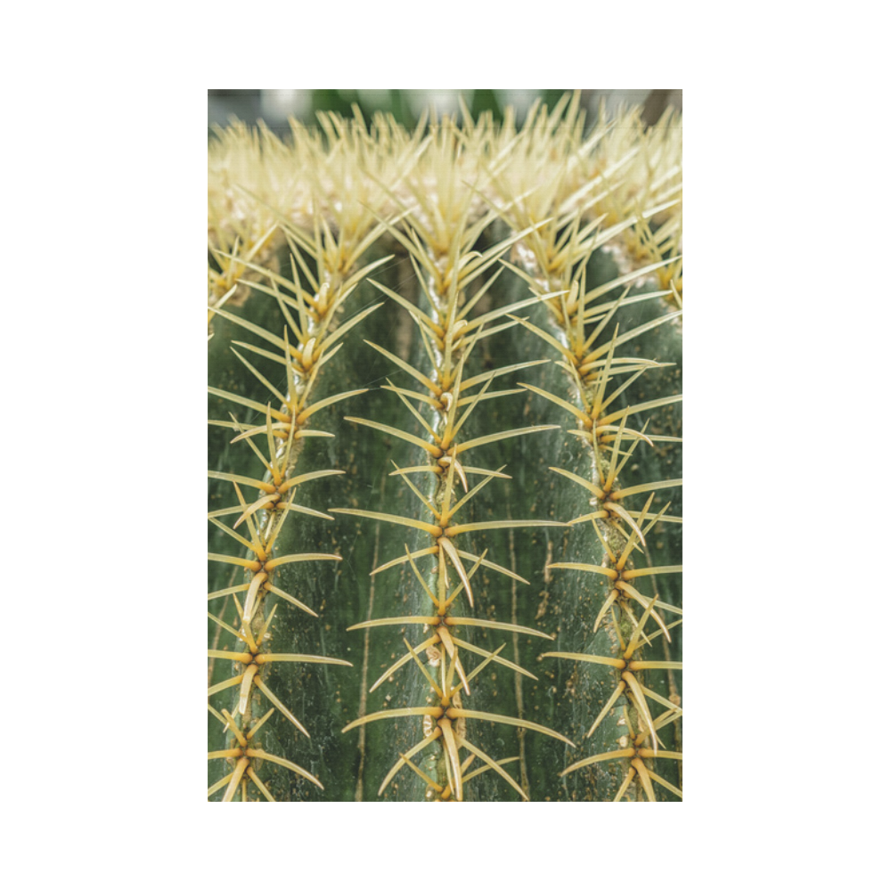 Photography Art - Cactus green yellow Garden Flag 12‘’x18‘’（Without Flagpole）