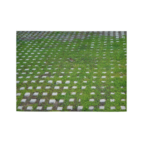 Grass & Stone Area Rug7'x5'