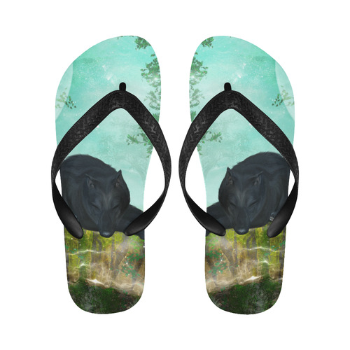 Sleeping wolf Flip Flops for Men/Women (Model 040)